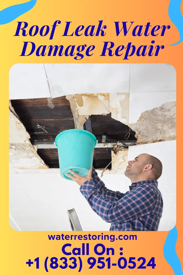 Roof Leak Water Damage Repair in Oilton, OK